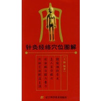 针灸经络穴位图解