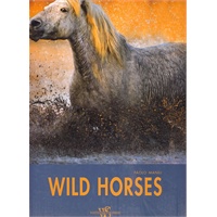 WILD HORSES PAOLO MANILI 野马摄影