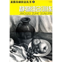 静物组合训练