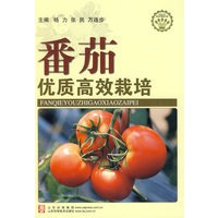 番茄优质高效栽培—社会主义新农村建设文库