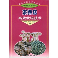 茶薪菇高效栽培技术——新世纪富民工程丛书·食用菌类栽培书系