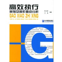 高效执行案例及操作要点分析