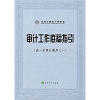 审计工作底稿指引：进一步审计程序之一