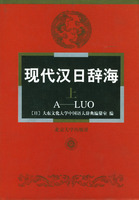 现代汉日辞海（上下册）（全二册）精装