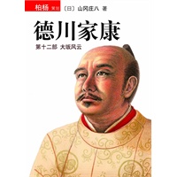 德川家康12：大坂风云