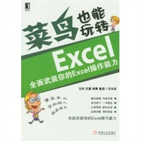 菜鸟也能玩转Excel——全面武装你的Excel操作能力