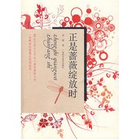 正是蔷薇绽放时
