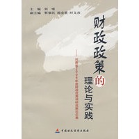 财政政策的理论与实践