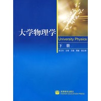 大学物理学（下册）（含光盘）