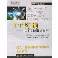 IT咨询12项关键指标剖析——信息化经典书丛