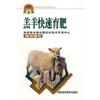 羔羊快速育肥——新农村建设实用技术丛书