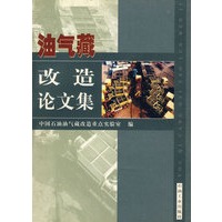 油气藏改造论文集