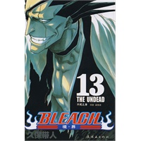 BLEACH 境·界 （13-24）（大陆唯一正版《死神》漫画上市）