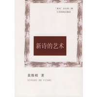 新诗的艺术