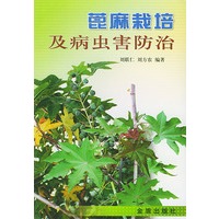 蓖麻栽培及病虫害防治