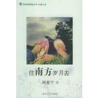 往南方岁月去——布老虎青春文学