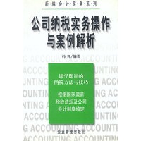 公司纳税实务操作与案例解析