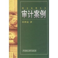 审计案例