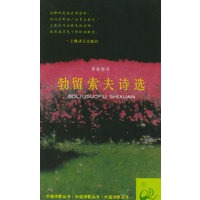 勃留索夫诗选——外国诗歌丛书