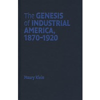 The Genesis of Industrial America, 1870-1920工业美国的开端1870-1920