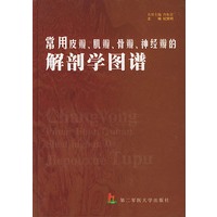 常用皮瓣、肌瓣、骨瓣、神经瓣的解剖学图谱