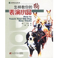 怎样教你的狗表演小品