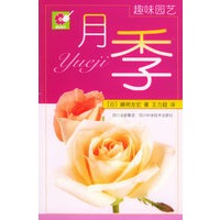 月季——趣味园艺