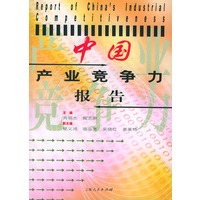 中国产业竞争力报告