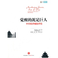 觉醒的泥足巨人