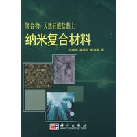 聚合物-天然硅酸盐黏土纳米复合材料