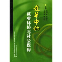 变革中的就业环境与社会保障