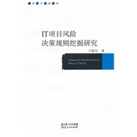 IT项目风险决策规则挖掘研究