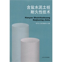含盐水泥土桩耐久性技术