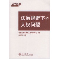 法治视野下的人权问题——人权丛书