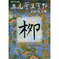 柳公权玄秘塔碑/三元学生字帖