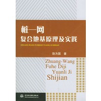 桩网复合地基原理及实践
