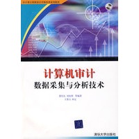 计算机审计数据采集与分析技术（附光盘）