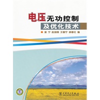 电压无功控制及优化技术