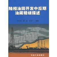 陆相油田开发中后期油藏精细描述