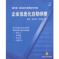 企业信息化自助纲要(国内第一部信息化管理咨询专著附光盘)