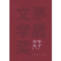 少年天子（茅盾文学奖）