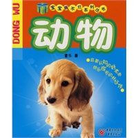 动物
