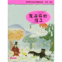 魔法师的帽子/世界奇幻文学大师精品系列