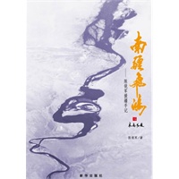南疆飞鸿：一本关于援疆工作的智慧书