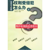 权利受侵犯怎么办（4）：维护权利的法律程序——法律自卫指南