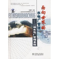 面向世界的水电厂管理：二滩水电厂管理系统