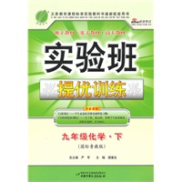 实验班提优训练 九年级化学(下)国标鲁教版
