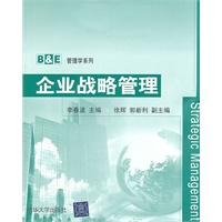 企业战略管理（B&E管理学系列）