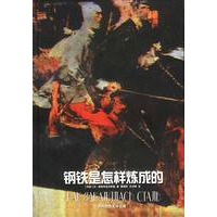 钢铁是怎样炼成的 精