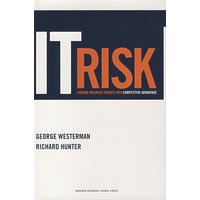 IT 危机IT RISK